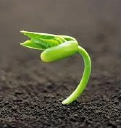 ___________ José reste positif et optimiste !