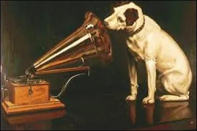 Le chien observe son ________ et se tient prêt à réagir au moindre geste ou à la première parole.