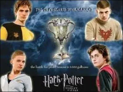 Qui sont les champions ?