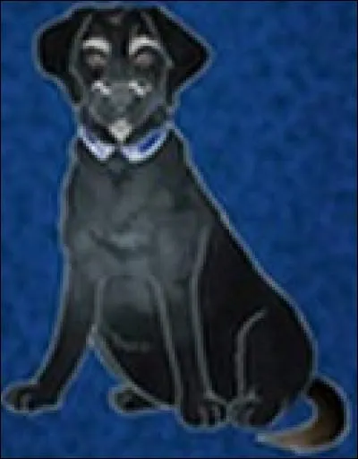 Comment s'appelle le chien (l'arrière-grand-père) de Tara ?