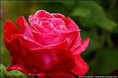 Connaissez-vous le proverbe « en avril, ne te découvre pas d'un fil » à propos du mois d'avril ? Il en existe un sur le mois de mai, lequel ?