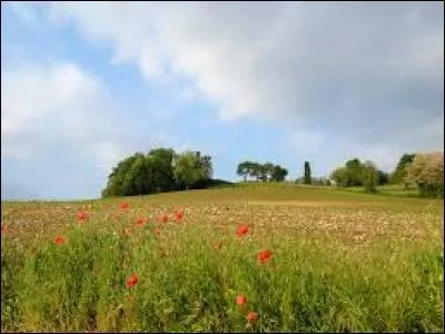 Un proverbe tout aussi connu attribue un rôle au mois de mai. D'après ce proverbe, le mois de mai fait ou ---. Ce proverbe signifie tout simplement que le mois de mai influe beaucoup sur la qualité de la récolte. Donc, le mois de mai fait ou :