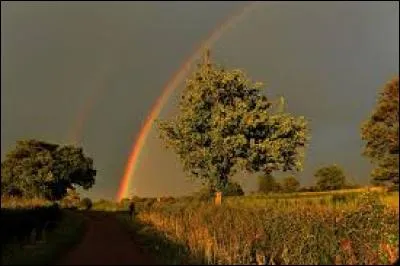 Pour cette question, je vais simplement vous demander de compléter directement le proverbe. « Vin de mai...