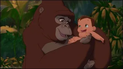 Dans le dessin animé "Tarzan", réalisé en 1999, Tarzan est recueilli par une gorille nommée Kala. Quels studios d'animation ont réalisé ce long-métrage ?