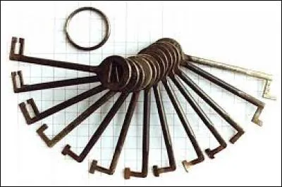 Quel nom d'oiseau désigne aussi un crochet dont se servent les serruriers et les cambrioleurs pour ouvrir les portes ?