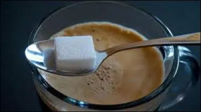 Quel nom d'animal désigne aussi un morceau de sucre trempé dans le café, l'alcool ?
