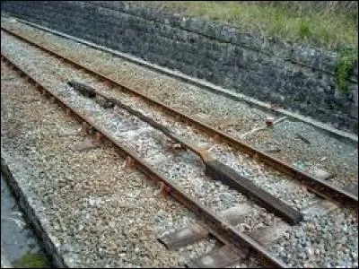 Quel nom d'animal désigne aussi un appareil placé entre les rails d'une voie de chemin de fer pour donner un signal sonore au passage d'un convoi ?