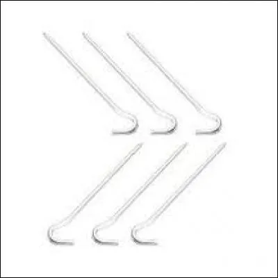 Quel nom de poisson désigne aussi un piquet de tente de camping ?