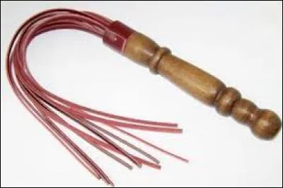 Quel nom d'oiseau désigne aussi un fouet à plusieurs lanières ?