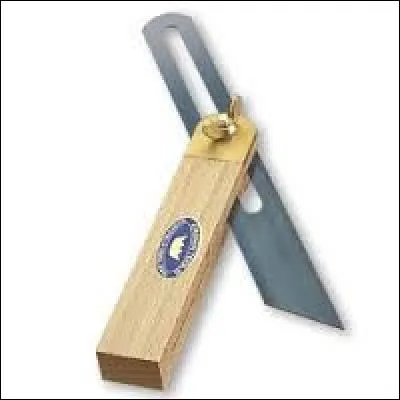 Quel nom d'insecte désigne aussi une fausse équerre à branches mobiles ?