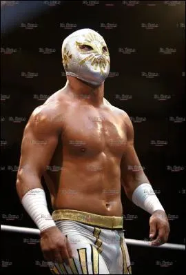 Comment s'appelle ce catcheur mexicain ?