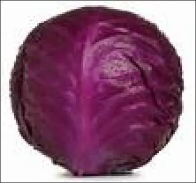 Lequel de ces choux est en réalité de couleur violette ?