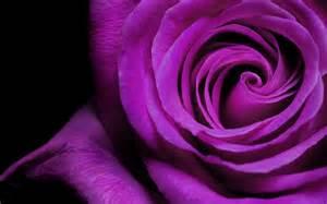 Quiz Couleurs