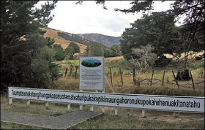 De quelle langue vient le plus long nom de collines du monde (en Nouvelle-Zélande) : Taumata­whakatangihangakoauau­otamateaturipukakapiki­maungahoronukupokaiwhenuakitanatahu ?