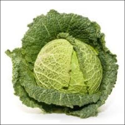 Il y en a 22 espèces, dont certaines ne sont pas très appréciées globalement !