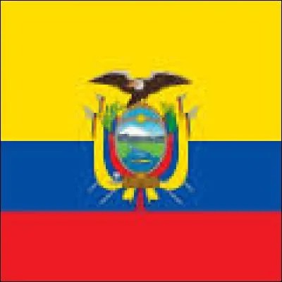 Quel est le nom du pays représenté par ce drapeau ?