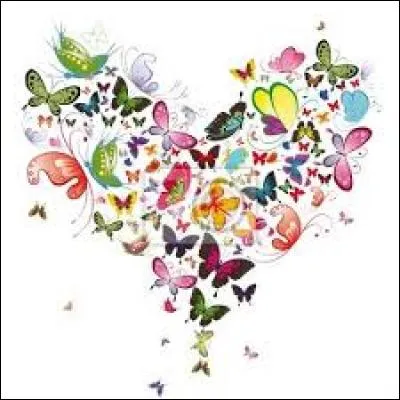 Marine. Passerelle établie sur certains bateaux pour faire communiquer l'avant avec l'arrière :