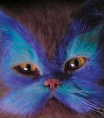 Algue brune aux feuilles formant un éventail :