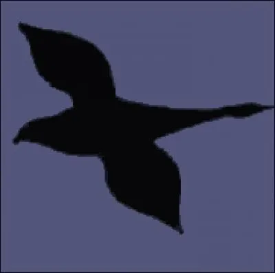 Cette image vous présente deux oiseaux différents, selon le côté par lequel vous regardez. Dites-moi... Lequel de ces oiseaux ne retrouve-t-on pas sur l'image ci-contre ?