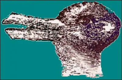 Continuons avec les animaux. Comme dans la question précédente, selon l'endroit où vous regardez, vous n'aurez pas le même animal. Quel animal n'est pas du tout présent sur l'image ci-contre ?