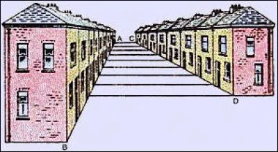 Nous allons terminer ce quiz en beauté avec de la logique. Je vous invite à comparer les segments [AB] et [DC]. Que pourriez-vous en dire ? Attention à la perspective...