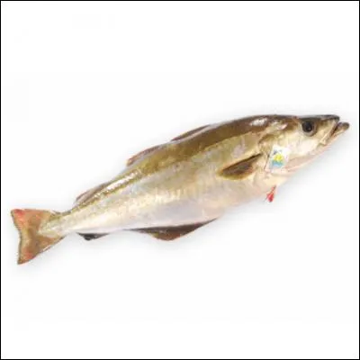 Reconnaissez-vous ce poisson ?