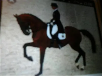 De quelle discipline s'agit-il ?