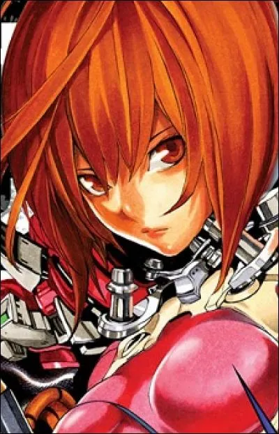 De quel manga est issu ce personnage ?