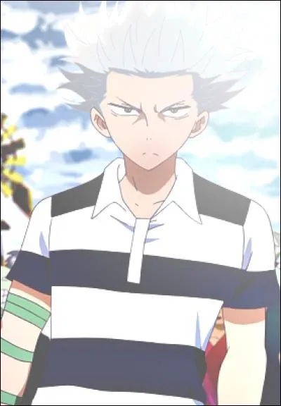 De quel manga est issu ce personnage ?