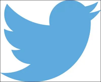 Et ce petit oiseau bleu, c'est le logo de Twitter ! Mais qui est le PDG de Twitter ?