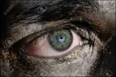 Plus facile que les autres, un animal de la savane.