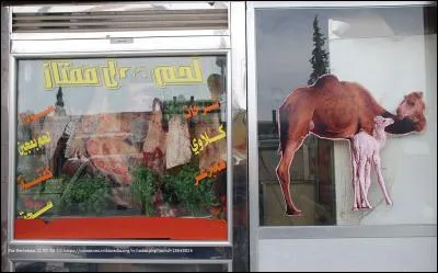 Vous ne devinerez jamais ce qu'il y a dans le "camel burger" ?