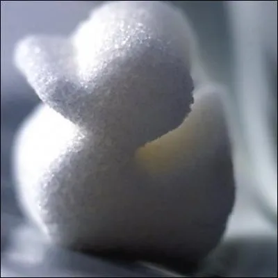 Dans quoi doit-on tremper un morceau de sucre pour obtenir un canard ?