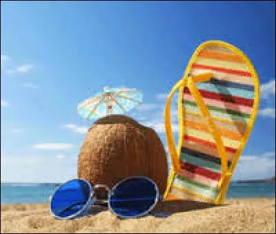 Quel groupe français a chanté "Darla Dirladada" en 1993 ?