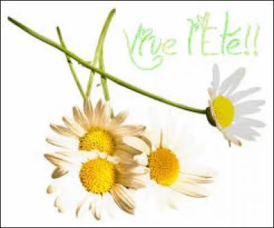 Quel groupe brésilien a chanté "Baïla Baïla Comigo" en 1997 ?