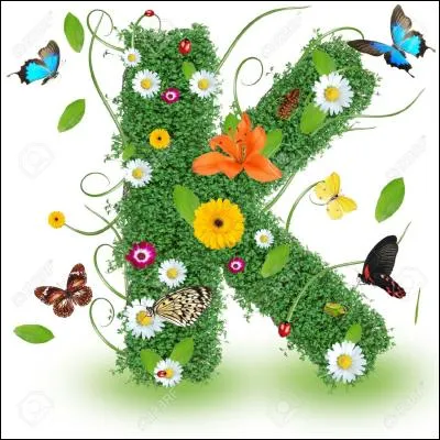 Indice : passereau qui peut être à tête jaune, à épaulettes, à capuchon, à il clair, etc.