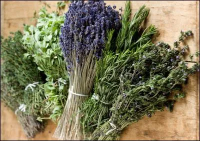 Les herbes des/de/du :