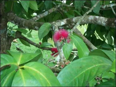 Se réunir à plusieurs pour en parler !