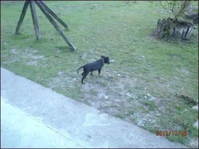 Démonter les enroulements !