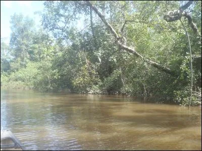 Pister, retrouver et chasser !