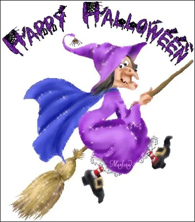 La sorcière ne se déplace pas en voiture ou à bicyclette. Quel est son moyen de locomotion ?