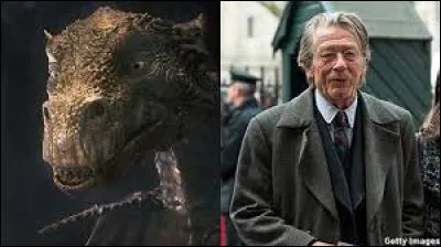 Qui fait la voix originale du dragon ? (dédicace à Harry Potter)