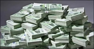 Selon la magazine "L'oeil de l'exilé", quelles sont les trois principales ressources financières de l'organisation ?