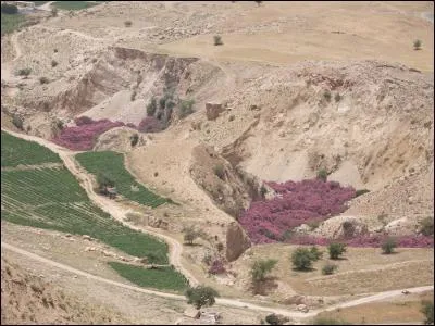De quels pays a justement été lancée la conquête de territoires par Daesh ?