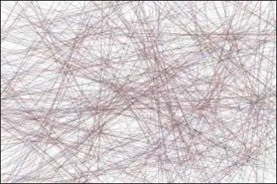 Il était dur le quiz ! La dernière fois, il m'a donné...