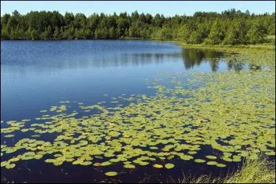 La Bessarabie se situe à cheval sur deux pays. Lesquels ?
