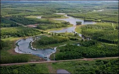 Dans quel pays pourrez-vous vous promener à travers les paysages du Flevoland ?