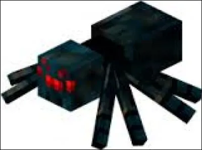 Quelle araignée existe ?