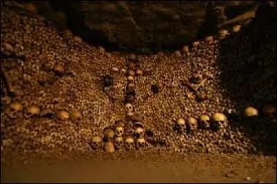 Si l'envie vous prenait d'aller visiter "les catacombes", désignant l'ossuaire municipal de Paris, dans quel arrondissement vous faudrait-il vous rendre ?