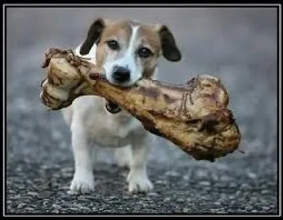 Lorsque l'on donne une occupation à quelqu'un afin de se débarrasser de sa présence, cela correspond à lui ...